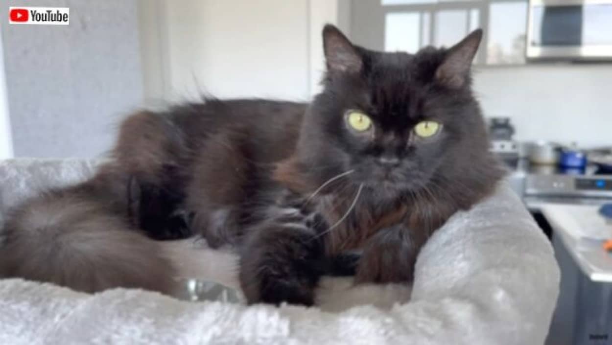 20231005_192152 (7)_batch