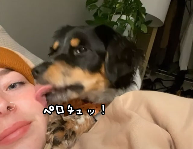 キスしたのに飼い主に無視された犬、ブチキレ