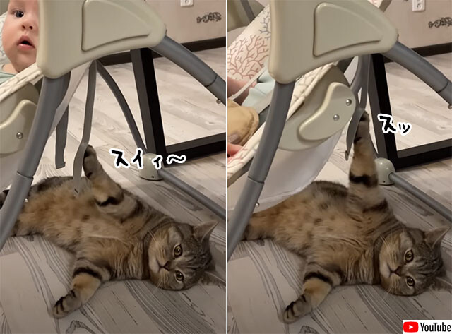 放心状態で赤ちゃんのゆりかごを押し続ける猫のいる風景