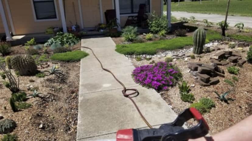 garden10_e