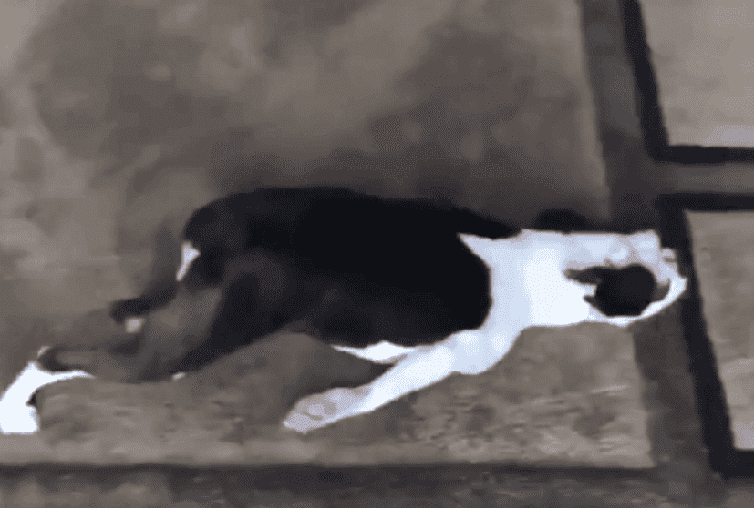 4_e