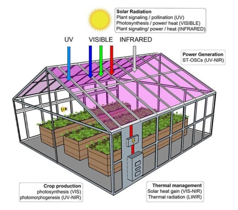 有機太陽電池で透明な太陽光発電パネル