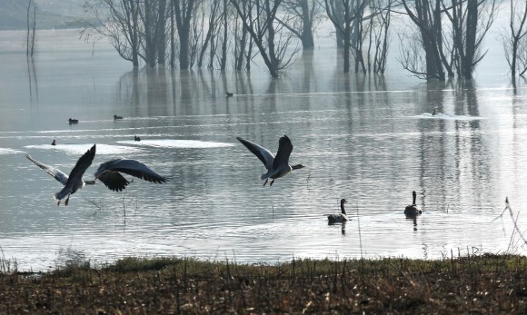 nature3_e