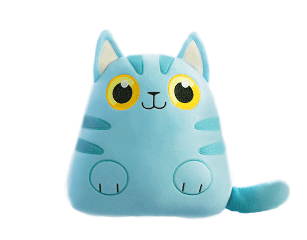 cat5