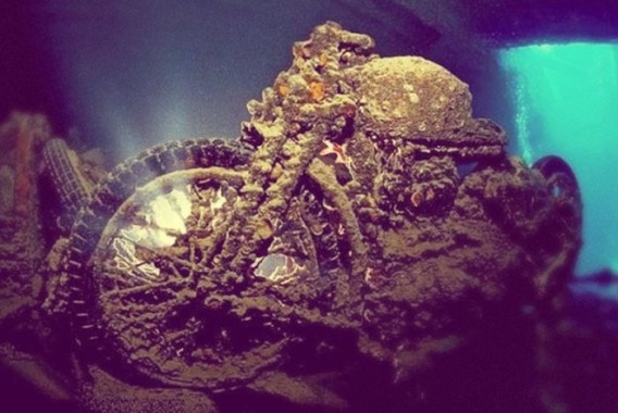 cars_reef_17_e