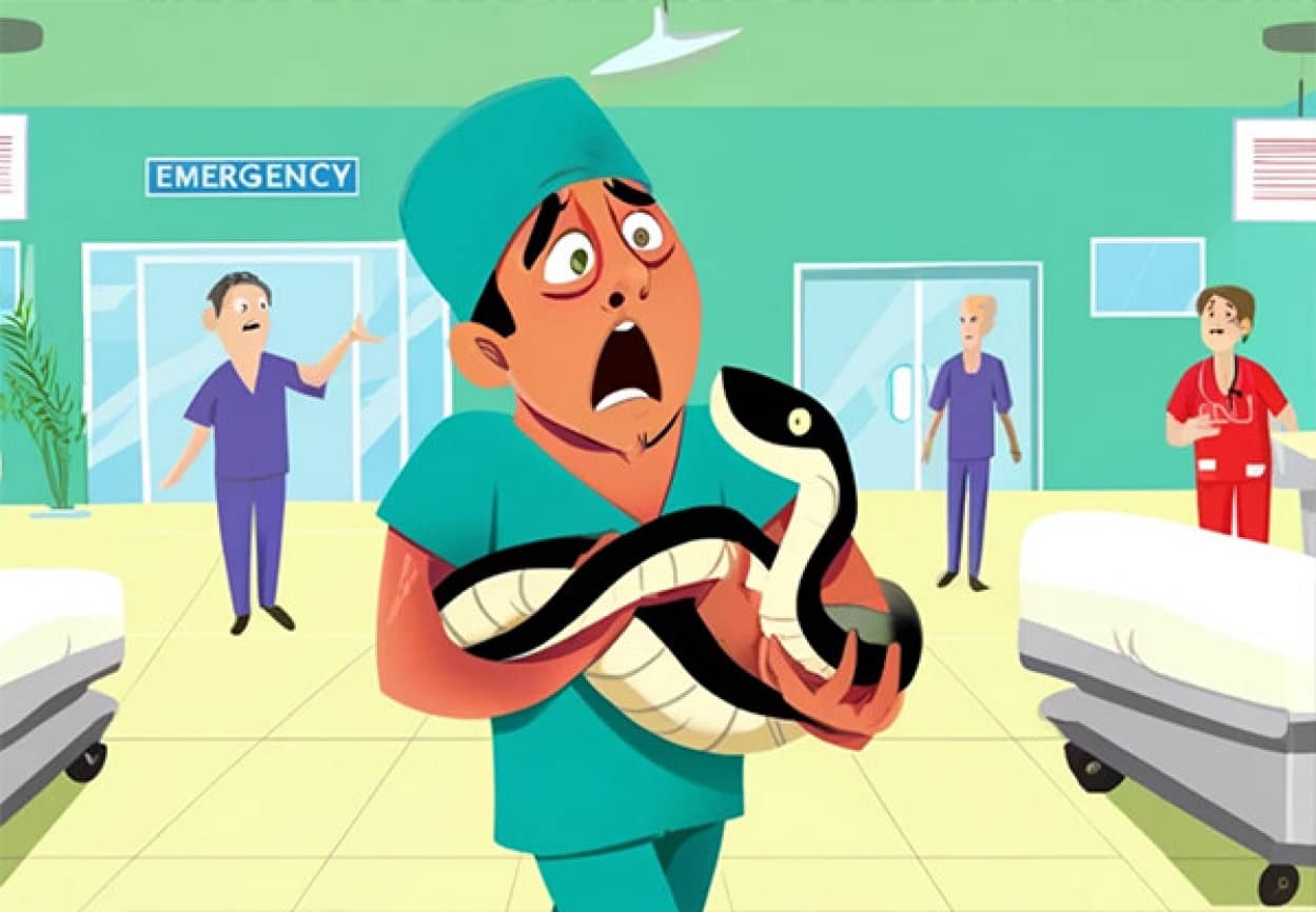 オーストラリアの医療機関が毒蛇を病院に連れてこないよう注意喚起