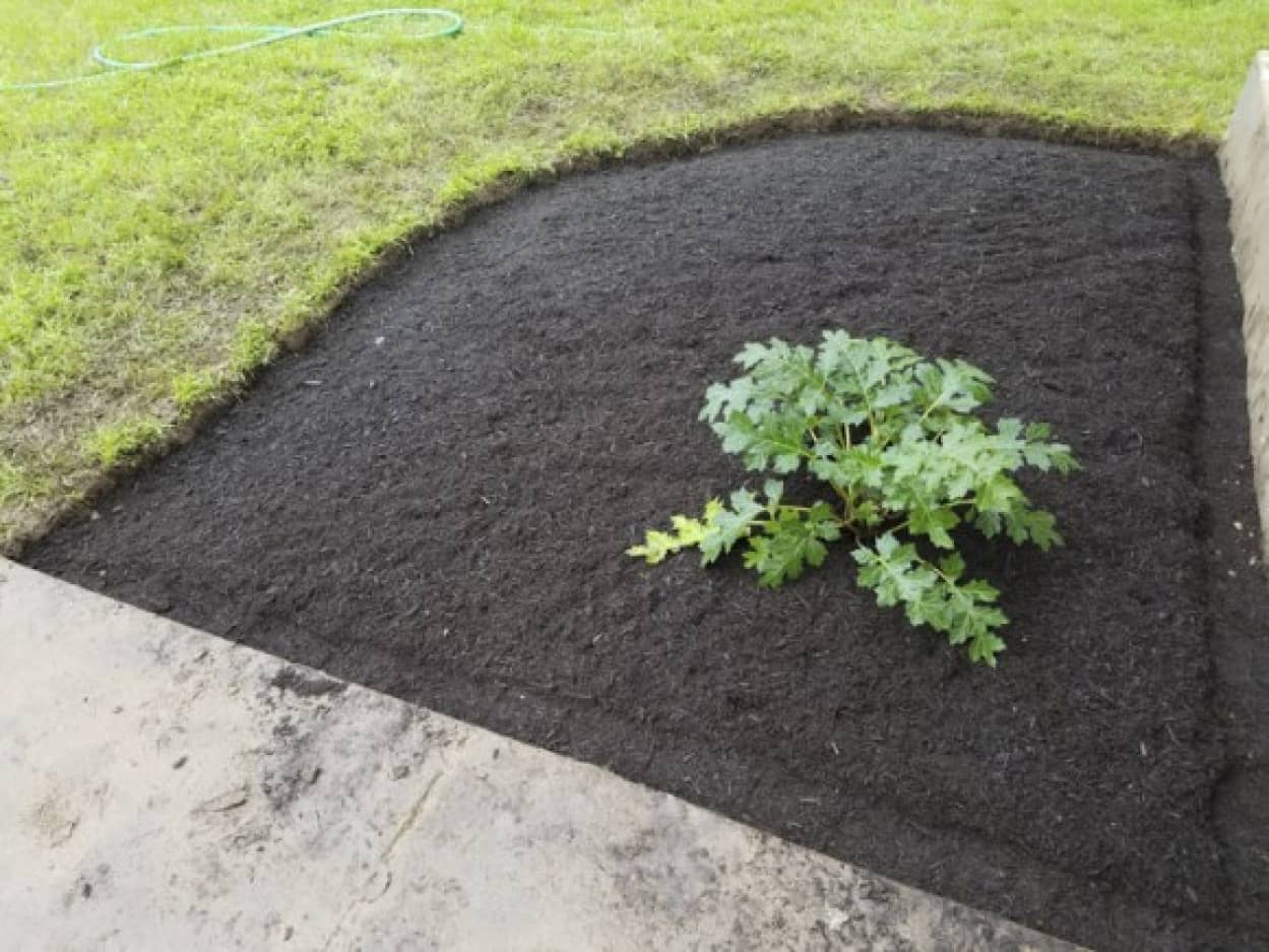 garden1_e