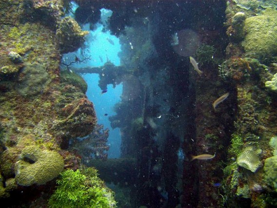 echoes_of_war_in_the_lagoon_640_32