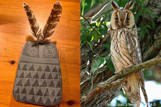 5000年前の謎のフクロウの飾り板は儀式用ではなく子供のおもちゃだった可能性