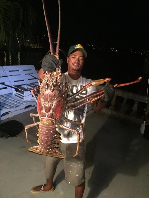 で でかいわ それ神だろ 体長1m以上あるロブスターをうっかり釣り揚げてしまっただと カラパイア で でかいわ それ神だろ 体長1m以上あるロブスターをうっかり釣り揚げてしまっただと カラパイア