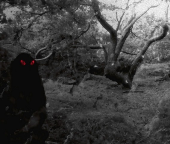 6_e23
