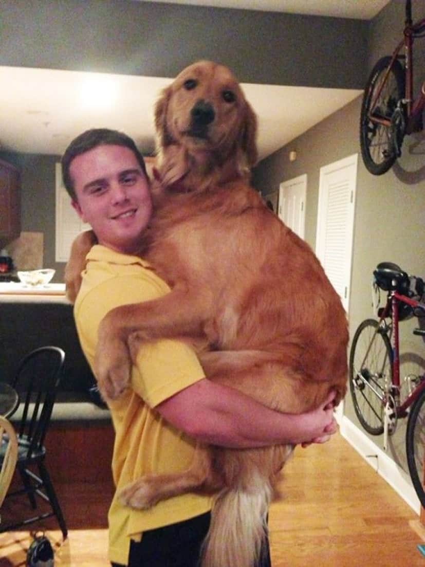 big-puppy20_e