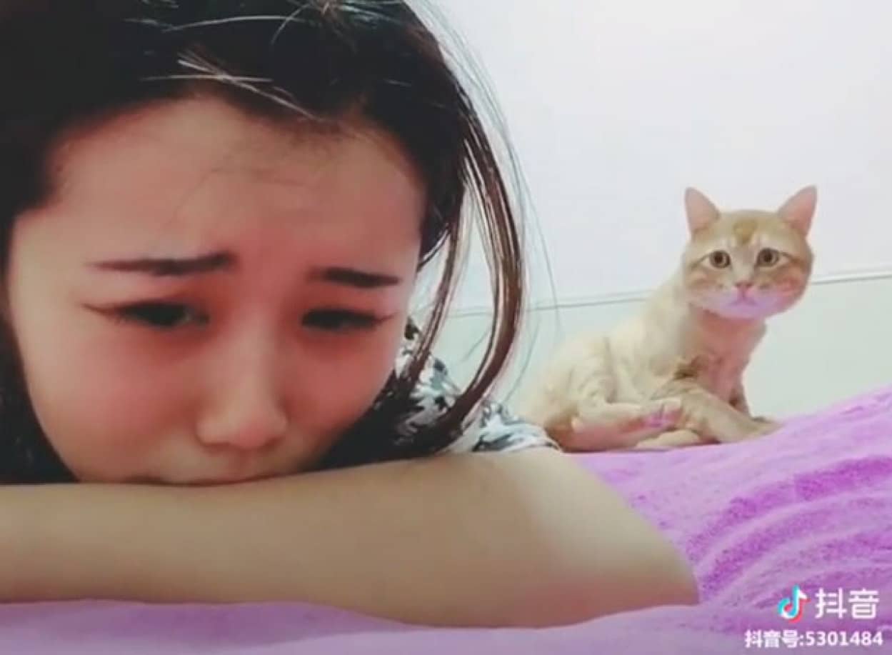 猫と飼い主