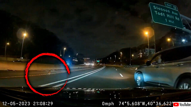 チワワが脱走し夜の高速道路を疾走するも、やさしい人々の連係プレーで無事帰宅