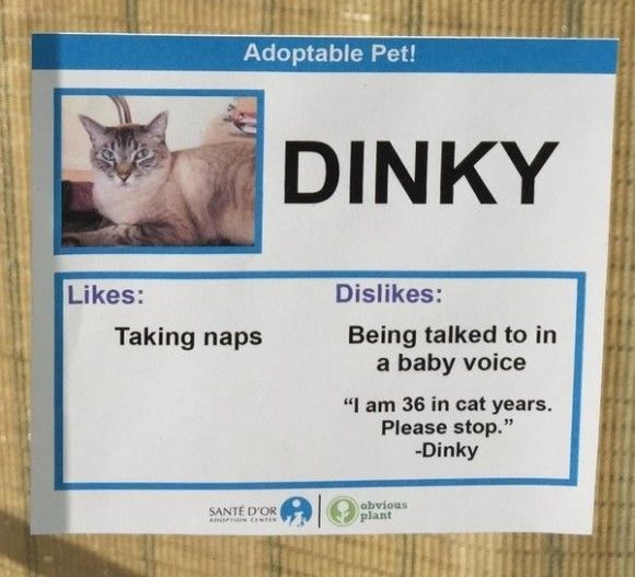 Dinky_e