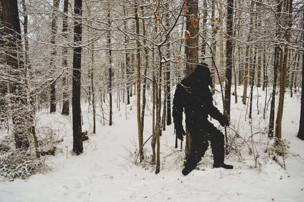 ビッグフットの目撃情報が多い地域はクマが多く生息していることが判明