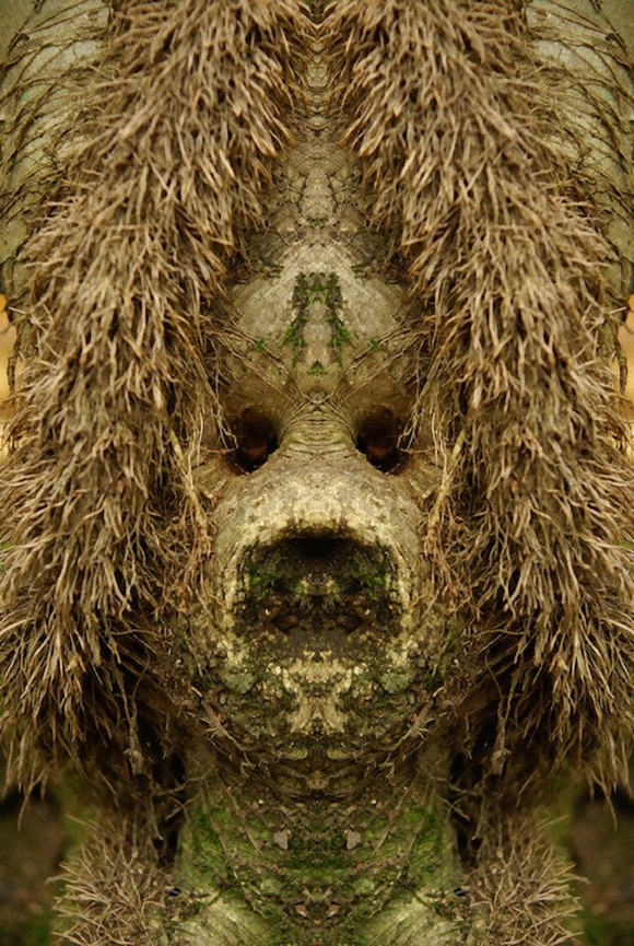 13_e1