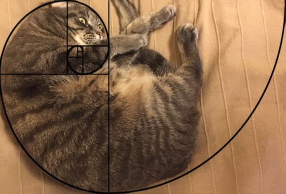 1_e52
