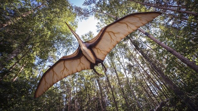 都市伝説なのか？実在したのか？巨大な怪鳥「トゥームストーンの翼竜」の謎