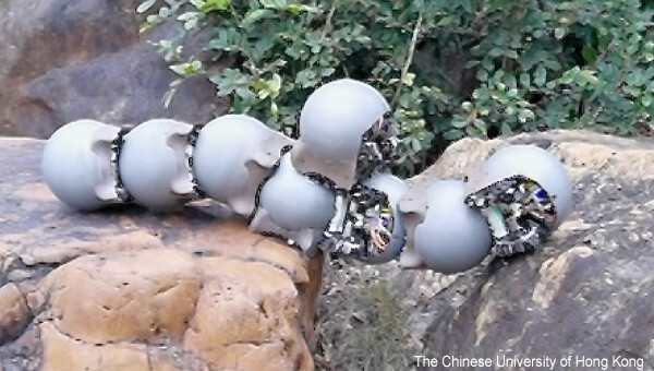 カタツムリにヒントを得たロボット、群れで協力して様々な作業をこなす