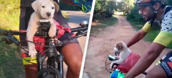 袋に入れて捨てられていた子犬、サイクリング中のカップルに救われ家族となるdog cover_e
