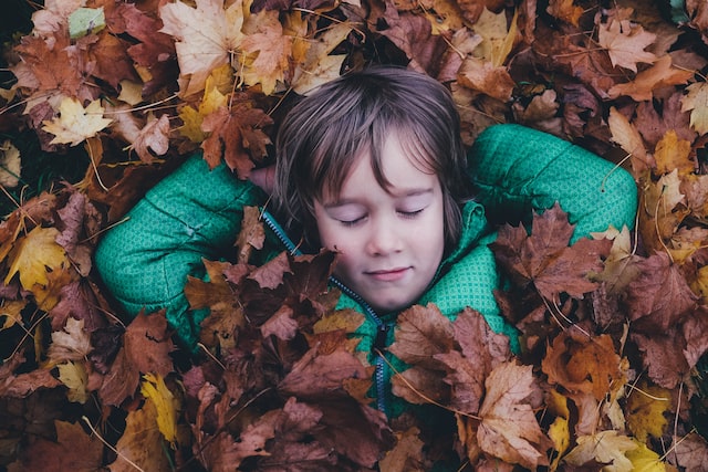 annie-spratt-Ewfrjh0GvtY-unsplash