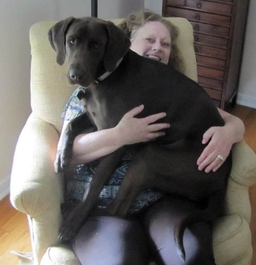 big-puppy17_e