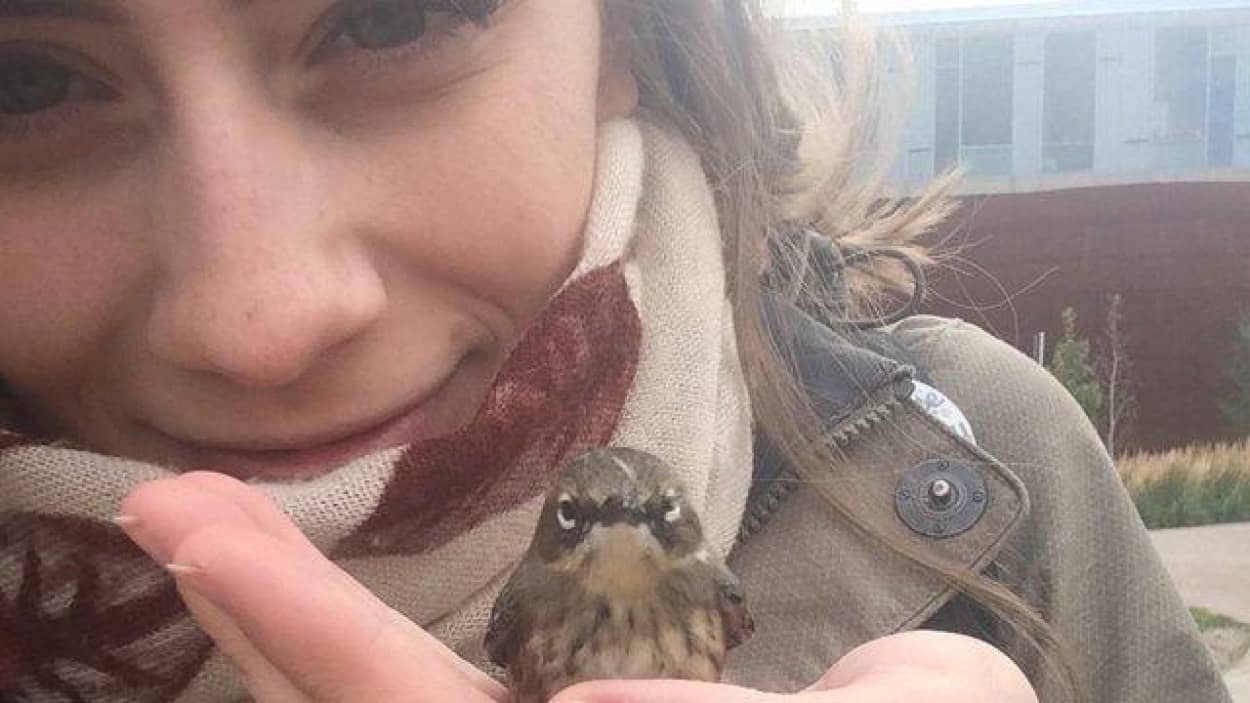 地面にうずくまっていた小鳥を保護 手のひらで温めていたらもう一羽小鳥が飛んできた カラパイア