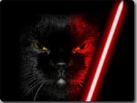 ライトセーバーを携え戦う動物たち 猫vs犬編 おじさんvsガチョウ編 カラパイア