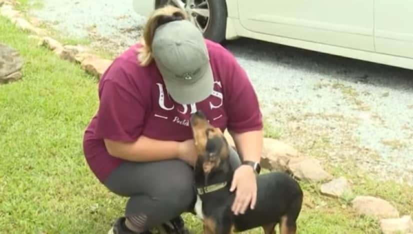 dog bitten1_e