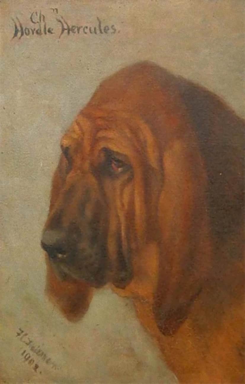 2_e40