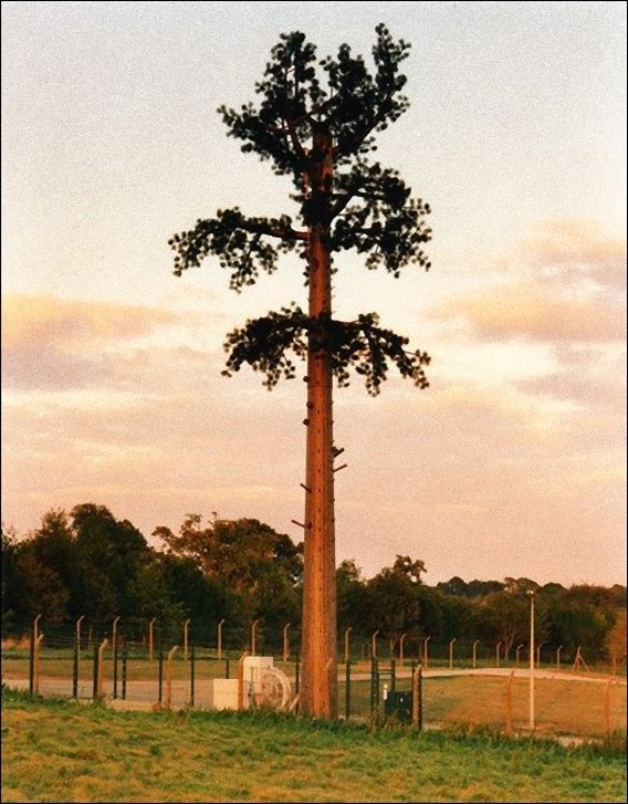 camouflaged_cell_phone_tower_08_e
