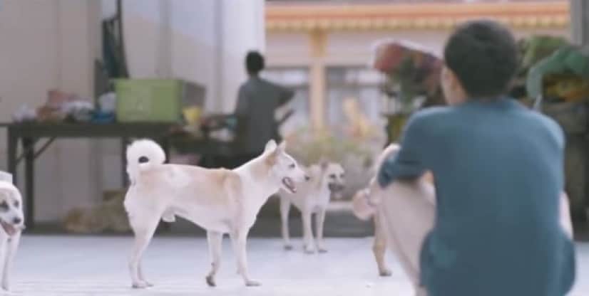 thai3_e