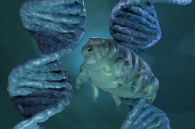 地球最強生物「クマムシ」の秘密が明らかに。防御モードを発動させる分子スイッチが判明