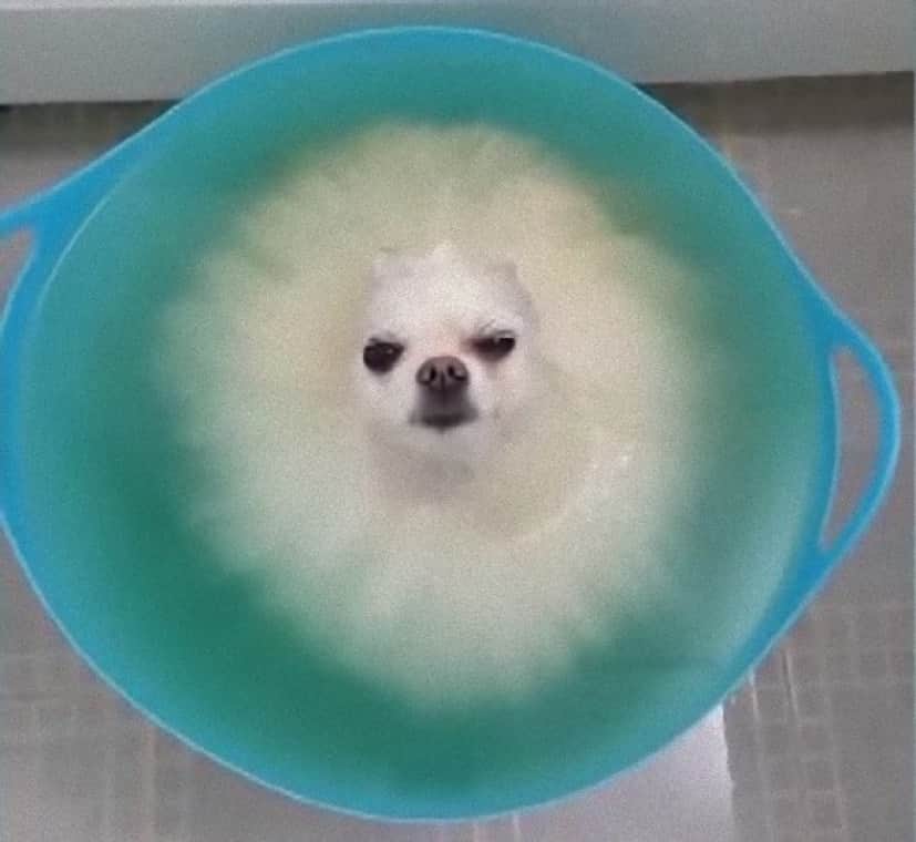 bath2_e