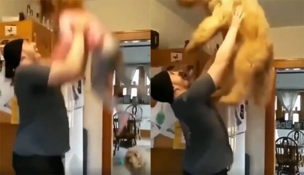 お父さんに筋肉が必要な理由 娘と大型犬にねだられ交互に たかいたかい カラパイア お父さんに筋肉が必要な理由 娘と大型犬にねだられ交互に たかいたかい カラパイア