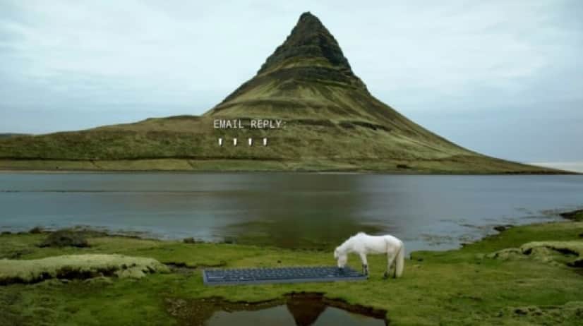 horse3_e