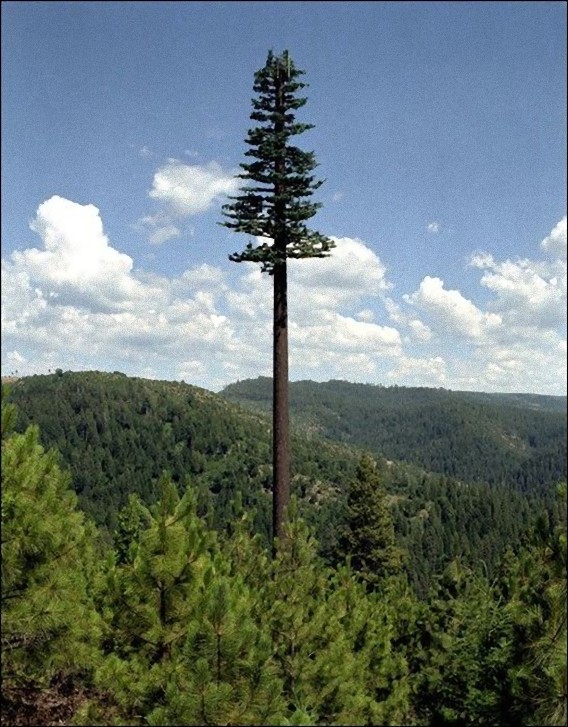 camouflaged_cell_phone_tower_03_e