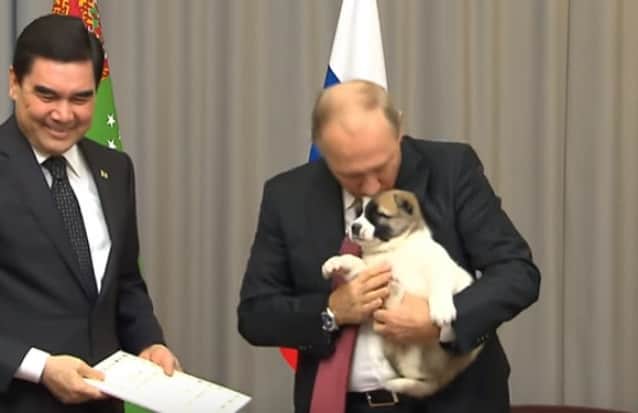続々と集まる各国の刺客 プーチン大統領にまたしても子犬が贈呈される トルクメニスタン大統領より カラパイア 続々と集まる各国の刺客 プーチン大統領にまたしても子犬が贈呈される トルクメニスタン大統領より カラパイア