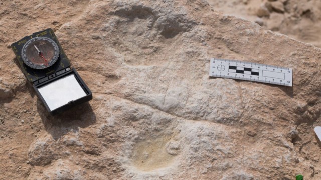 現生人類が残したものを見るのは感慨深い。約12万年前の人類の足跡が発見される（サウジアラビア）