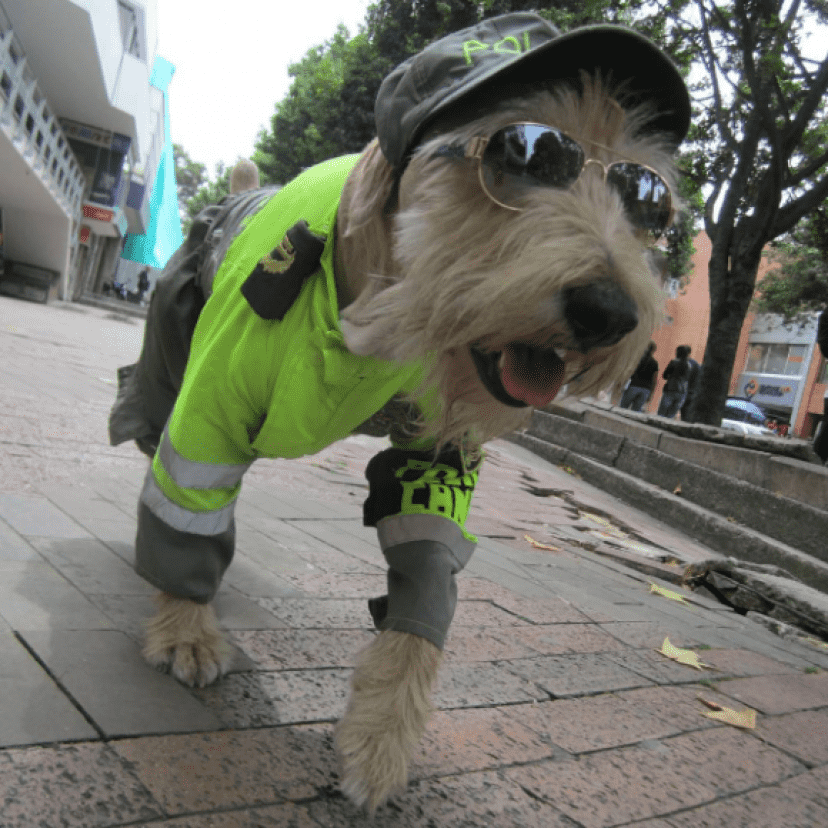 police3_e