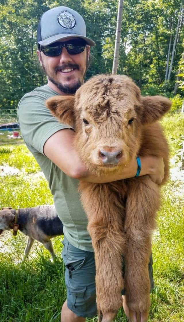 牛の犬化 育児放棄された群れにも見放された子牛を犬と一緒に育てたところ結構な犬っぷり アメリカ カラパイア