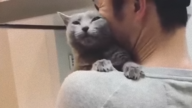 cat-4_e