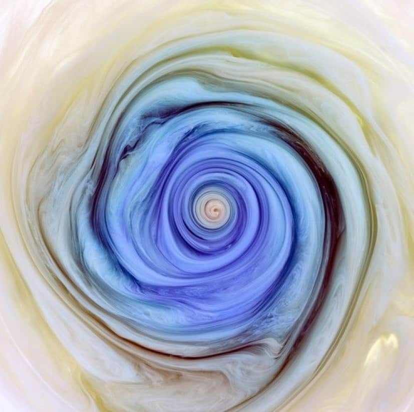 水にインクを垂らして儚い美しさを表現した 水中に開く花 カラパイア