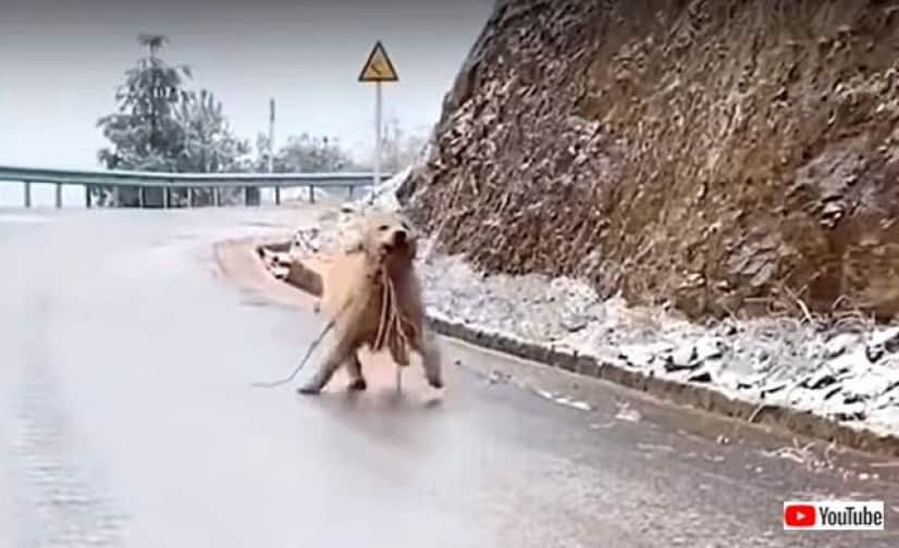 icyroad2_640_640