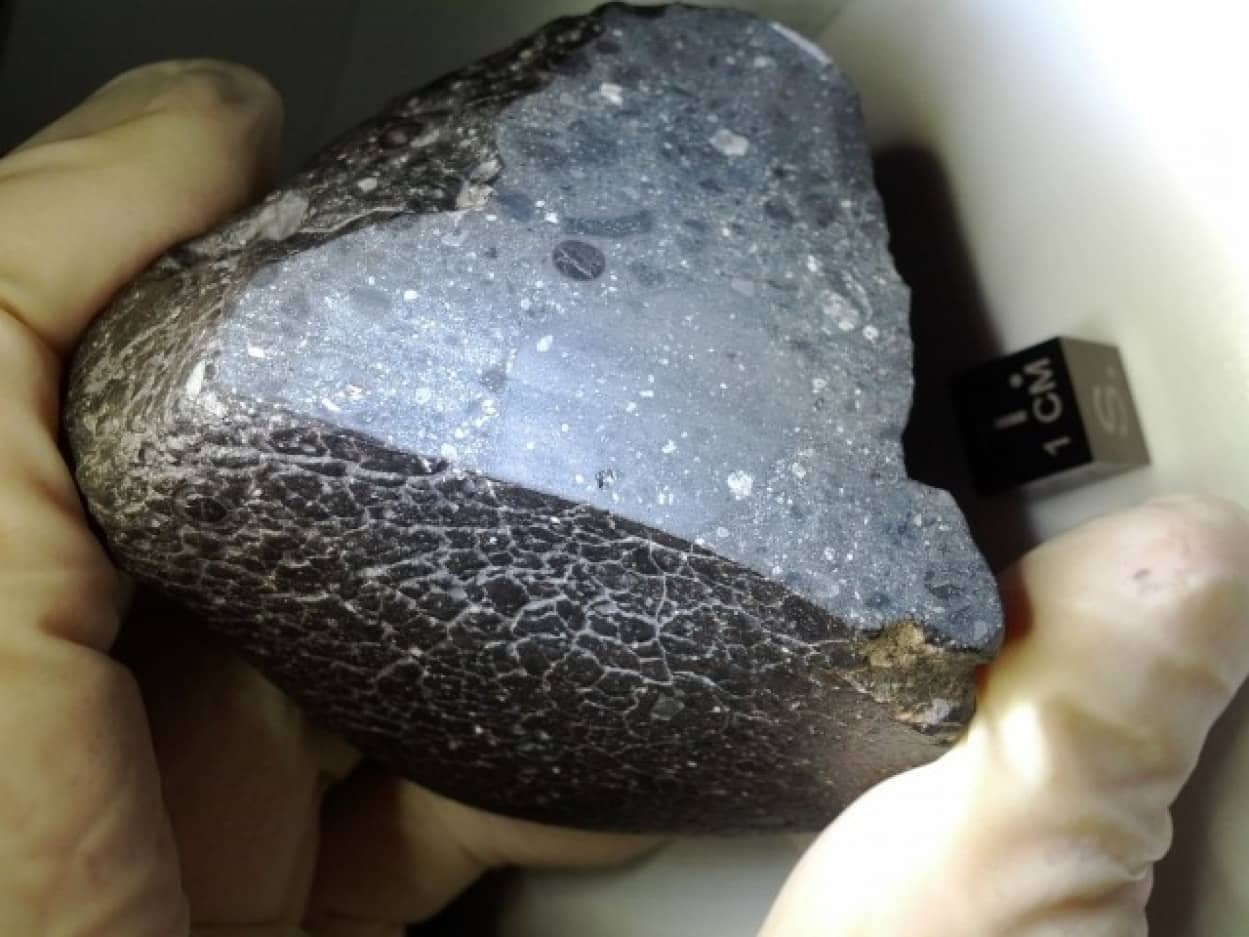 火星の隕石から明らかとなった生命体の存在