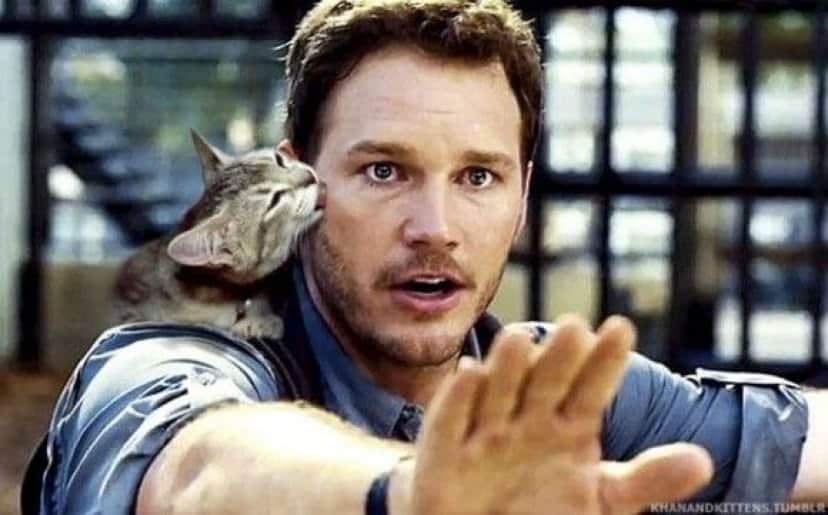 jurassic_park_dinosaurs_09_e