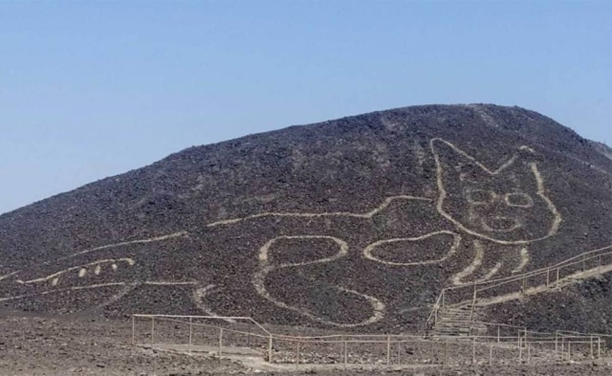 ナスカの地上絵を新たに発見、古代ネコが描かれていた