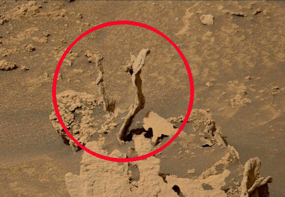 火星の地表からニョキッと生え出た謎の物体が発見される