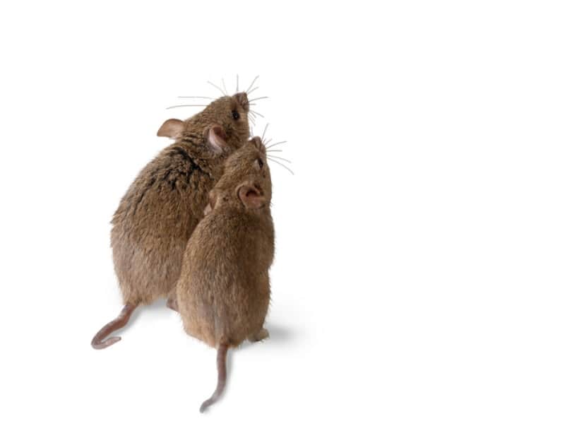 iStock-893434206